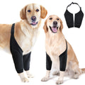 Adjustable joint protector sleeve on a dog's front leg