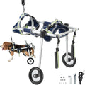 Adjustable rear-support wheelchair helping a dog with hind leg weakness walk