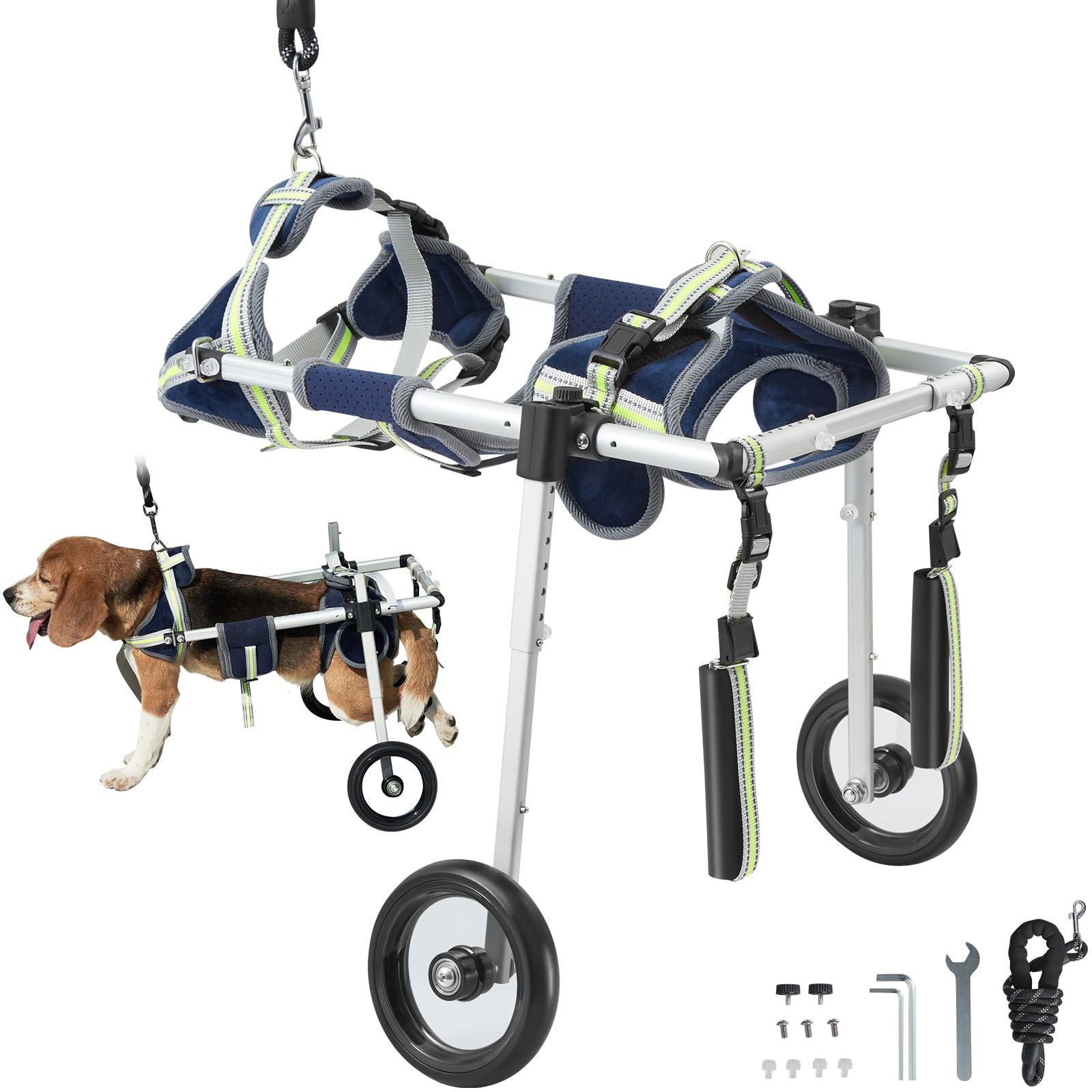 Adjustable rear-support wheelchair helping a dog with hind leg weakness walk