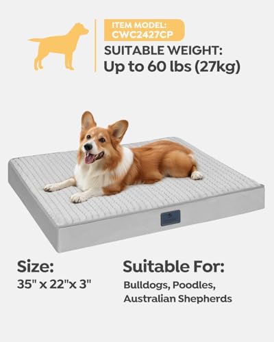 Supportive Plush Dog Bed size and weight guide