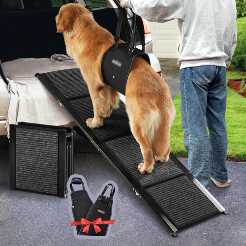 Senior dog using a foldable anti-slip ramp to get into a car