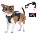 Dog harness with a rubber top handle for extra control on walks