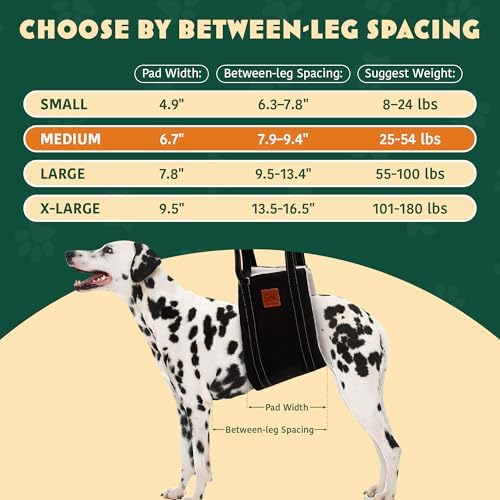 Rear-Leg Support Harness size chart