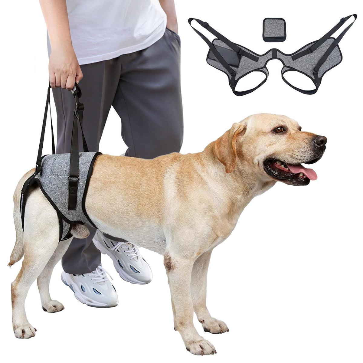 Full-body dog lift harness supporting a senior dog's rear legs