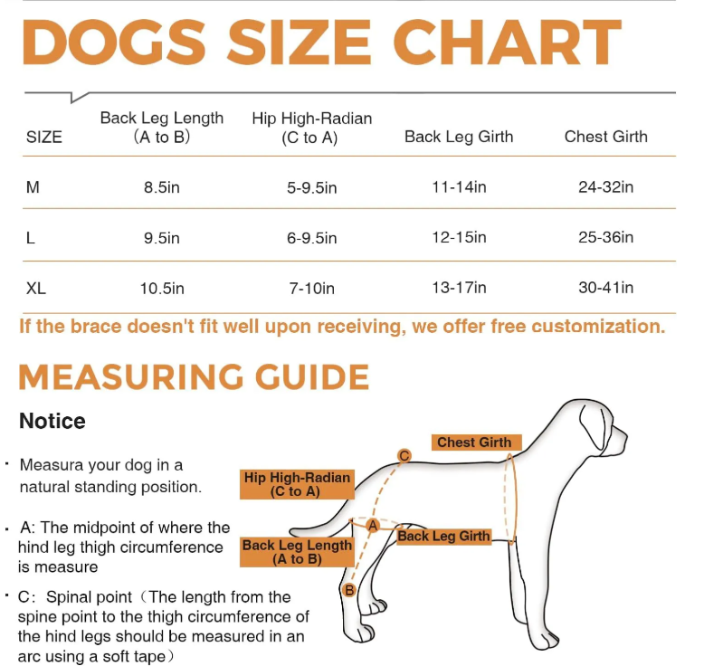 Dog knee brace size chart and measuring guide