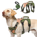 Dog wearing a no-pull harness with a lift handle for extra support